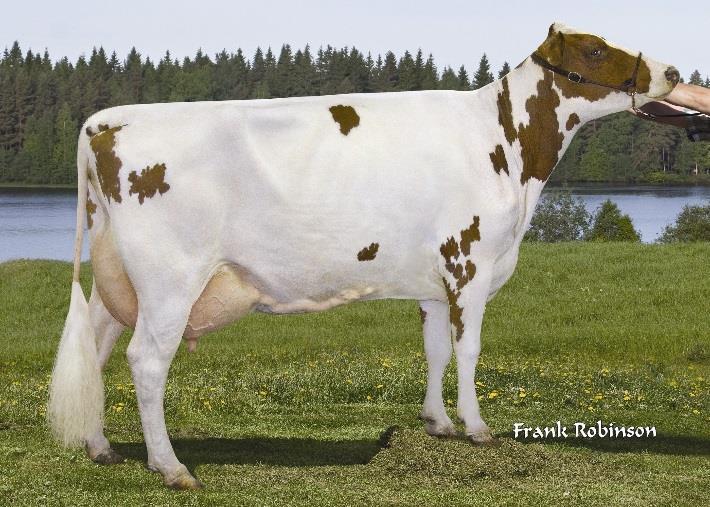 58 879 kg EEI: Lagace Modem ET EEE: Forever Schoon Pretty EX93-2E, paras 305 pv 10 751-4,7-3,4 (4.