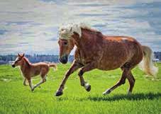 0, C C 00 Mirka Juutilainen (C) La RUBY TUESDAY,ake 0,ke e v trn t Capetown Hall : --0 0,a 0, e : 0 0-0-0 Yht: --0 Purple Rain-Hello Jo Sa Veh Pk.0, C C 0 Luukkanen Paavo&Salmi Ira, J Ruot La 0.