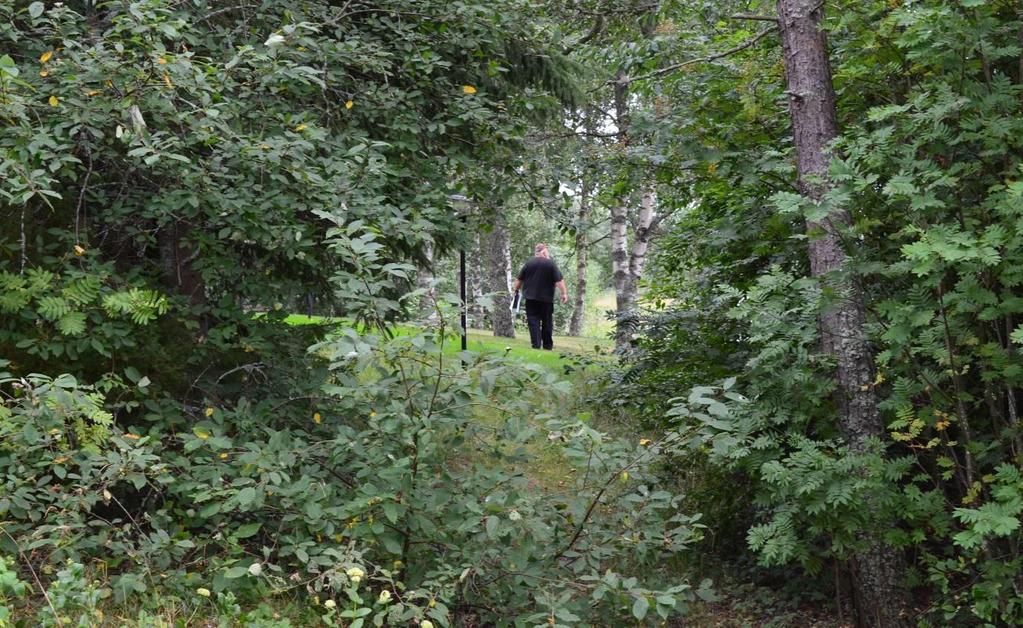 Pihapiiri on kooltaan laaja ja avonainen.