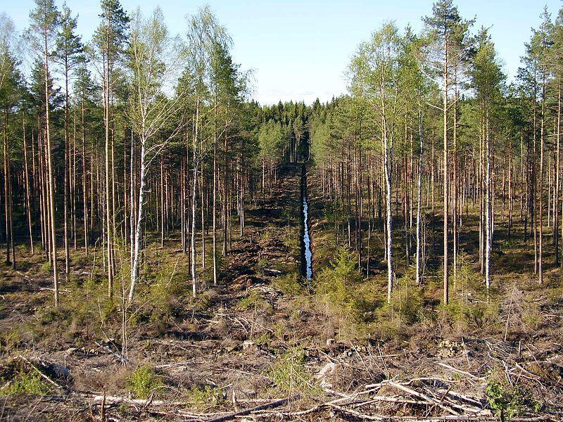 29 Ojitettuja soita voidaan palauttaa luonnontilaisen kaltaisiksi erilaisilla ennallistamistoimilla. Aiemmin kaivettuja ojia voidaan jättää kunnostusojituksen yhteydessä perkaamatta tai tukkia.