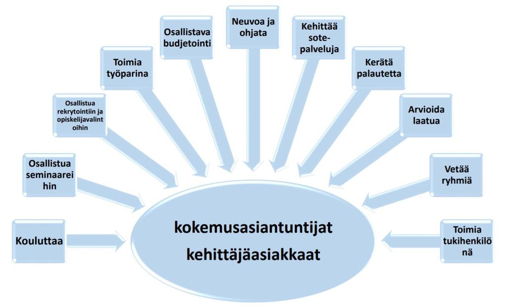 Kehittäjäasiakkaat