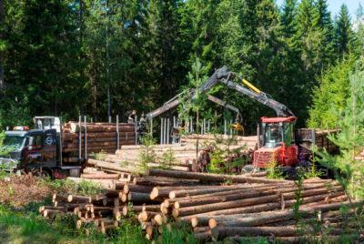 Puupolttoaineiden tarjonta on korkealla tasolla => vaikutus hintaan Puukauppaa on tehty tänä vuonna