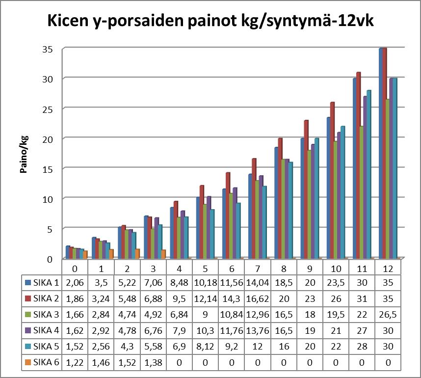 59 KICE Liite 16 KICE Y VK/PORSAS 1 2 3 4 5 6 KESKIPAINO 0 2,06 1,86 1,66 1,62 1,52 1,22 1,66 1 3,5 3,24 2,84 2,92 2,56 1,46 2,75 2 5,22 5,48 4,74 4,78 4,3 1,52 4,34 3 7,06 6,88 4,92 6,76 5,58 1,38