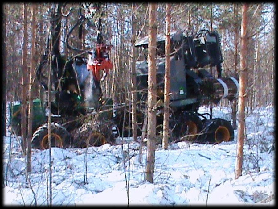 UUMAJAN TUTKIMUKSEN TAUSTA Kokopuupaalaimen (Fixteri FX15a) tuottavuustutkimus Suomessa maaliskuussa v.