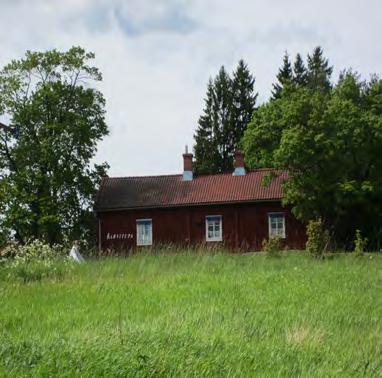 viljelymaisema maisemaa