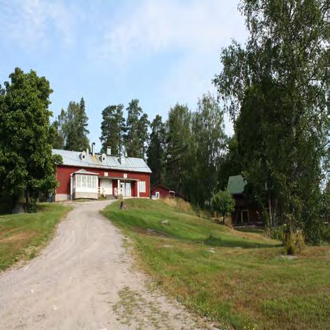 erämaaympäristössä.