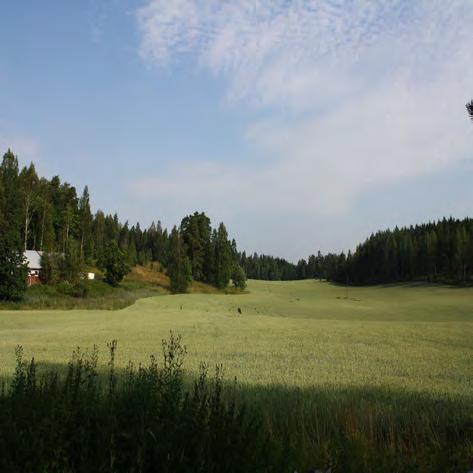 reunametsineen 1600-1700 -luvuilta