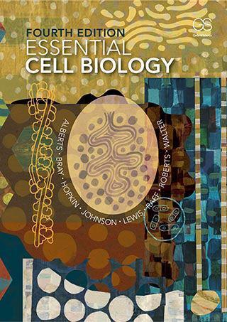 Alberts Bray Hopkin Johnson Lewis Raff Roberts Walter Essential Cell Biology FOURTH