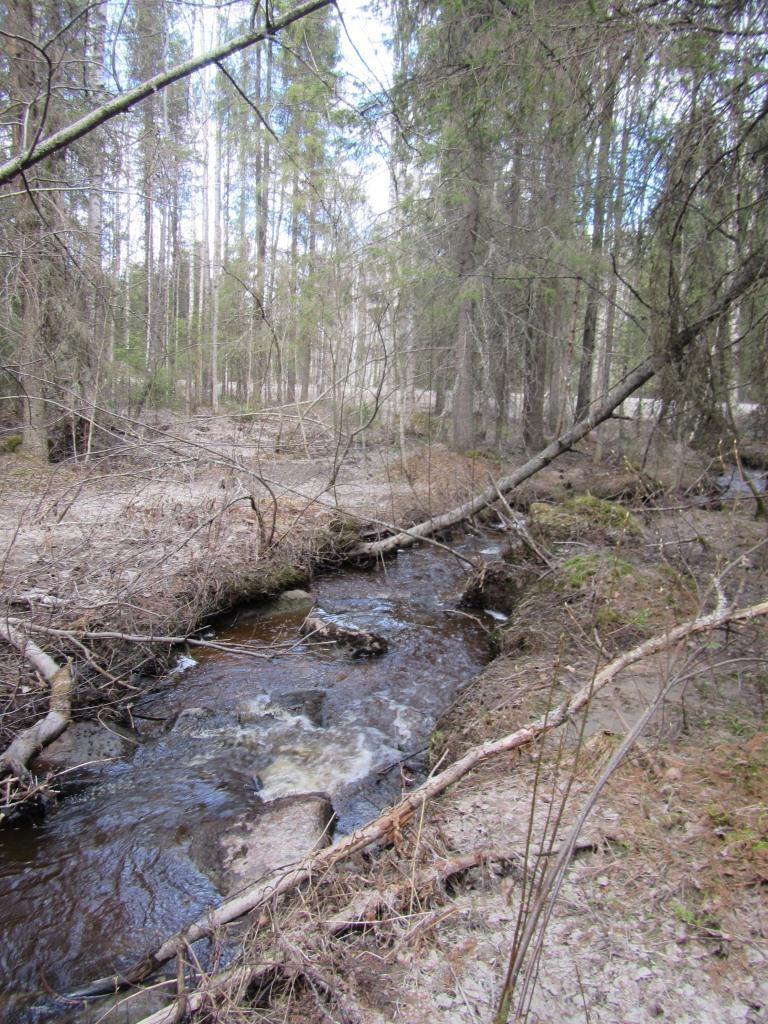 9 Kuva 3-5. Antinsuolta laskevan puron varsi keväällä ja kesällä kuvattuna.