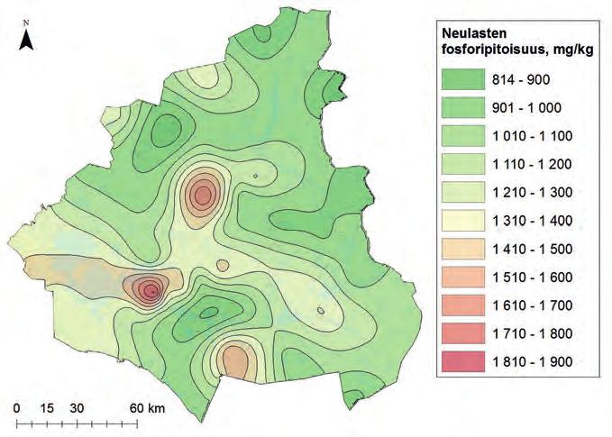 Fosforista tulee puutosta, jos sitä huuhtoutuu ravinnepäästöinä maaperästä erilaisten metsänhoitotoimenpiteiden, kuten hakkuiden, muokkausten ja ojitusten myötä.