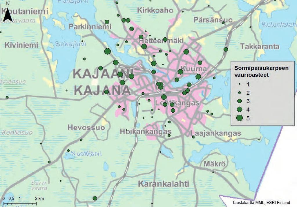 Sormipaisukarpeen vaurioasteiden