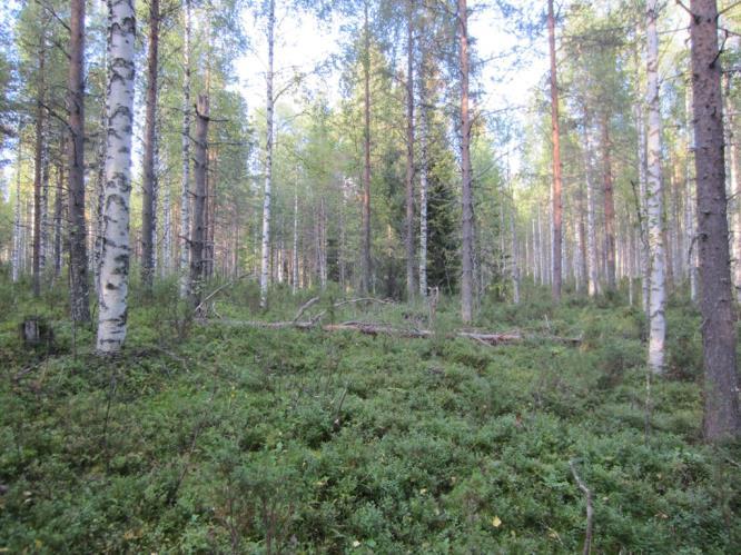 PUDASJÄRVEN KAUPUNKI 28 Kuva 14.