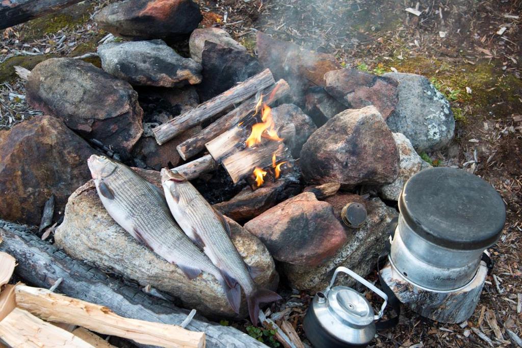 Vetovoimaisen luonnon turvaaminen Monimuotoinen ja kaunis luonto on luontomatkailun ja virkistyskäytön perusta Kehittämisehdotukset Tuetaan ja vahvistetaan olemassa olevien yhteistyöverkostojen ja