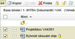 Määritteet (Professional) Määritteet -välilehdellä voidaan luokitella dokumentti kuulumaan tiettyihin dokumenttityyppeihin. Täällä valitaan myös vastaavat määritteet.