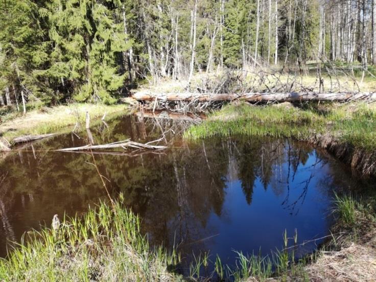 29 KUVA 3. Maa-ainesta otettiin kavennetun uoman vierestä KUVA 4.