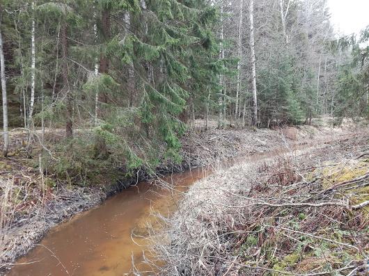34 massa oli myös puuainesta, joka lisää pyörteitä ja uoman monimuotoisuutta.