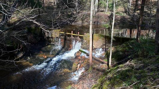 56 Nuuksion Pitkäjärveen (Nuotio 2017, 30). Nuuksion Pitkäjärvestä vaelluskalat voivat nousta Myllypuroon. Alaluvussa 7.