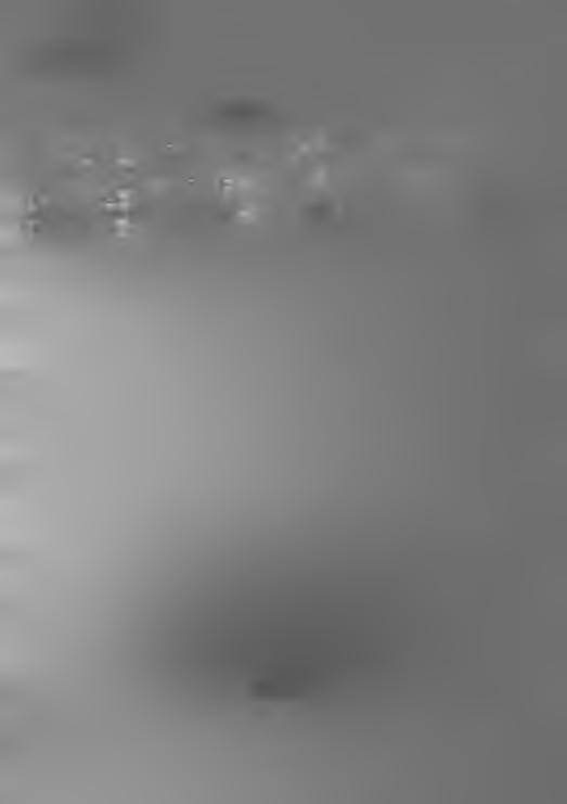 Eripainos n:o 13. Viro.