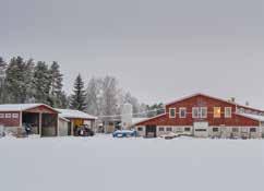 Rotujakauma on melko tasainen, mutta ayrshire tuntuu olevan hieman läheisempi rotu. Hyvä lehmä on hyvä lehmä väristä riippumatta, Pasi toteaa kuitenkin.