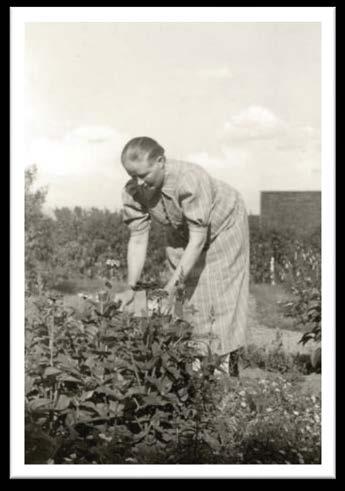 Suurlahjoittajat - pääomaperusta Historia Rahaston toiminnan pohjaa