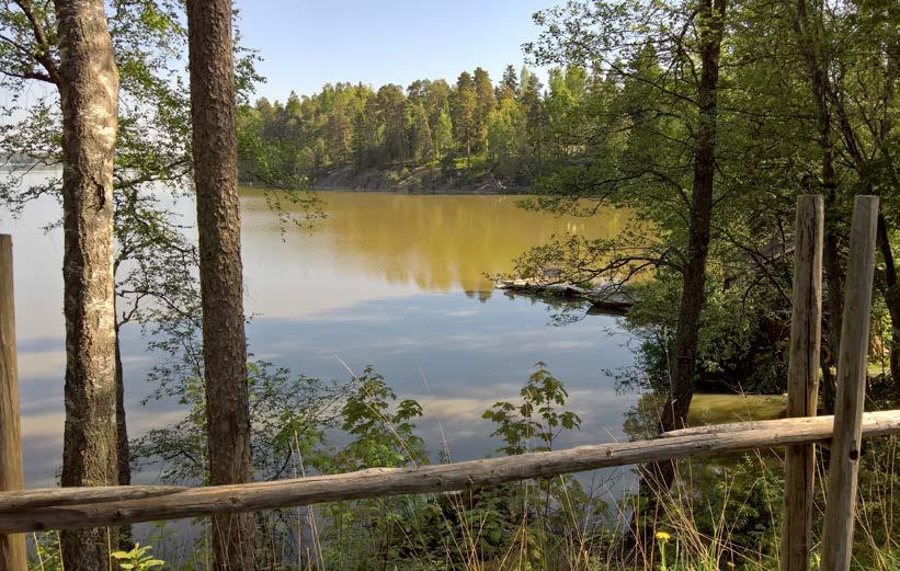 Looduses liikudes on hea ka iseennast kuulata. Looduses võib lihtsalt lõõgastuda ja unistada või meenutada toredaid sündmuseid elus. Loodus toidab meie meeli.