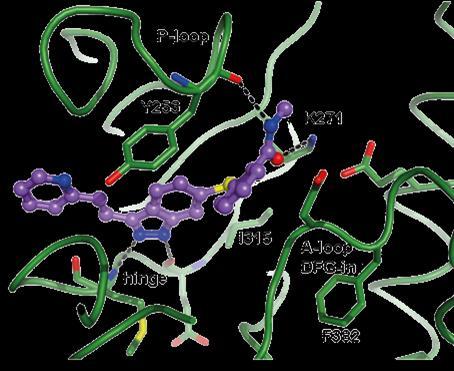 ABL1(T315I)-DFGin  VEGFR2