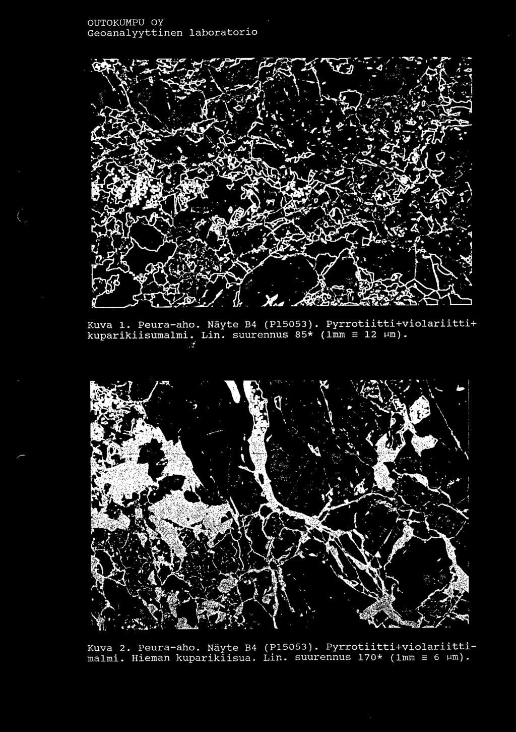 suurennus 85* (1mm = 12 ~m). 1 ' 1 Kuva 2.