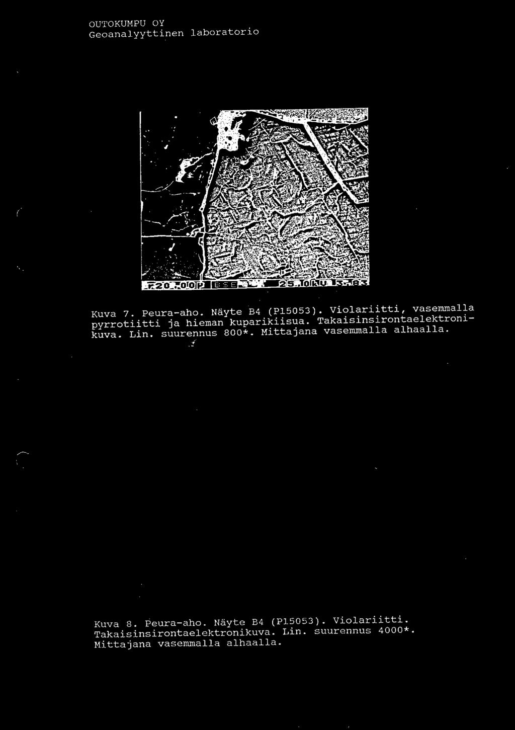 Takaisinsirontaelektronikuva. Lin. suure nnus 800*. Mittajana vasemmalla alhaalla.,.