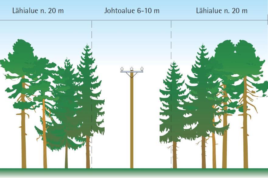 14 Kuva 2.1 Periaatekuva 20 kv avojohdon johtokadusta ja sitä ympäröivästä vierimetsästä (Tapio 2013b). 2.5 Vierimetsien aiheuttamat uhat sähköverkoille Yksi suurimmista sähkön toimitusvarmuuteen vaikuttavista tekijöistä on sähkölinjan sijainti.