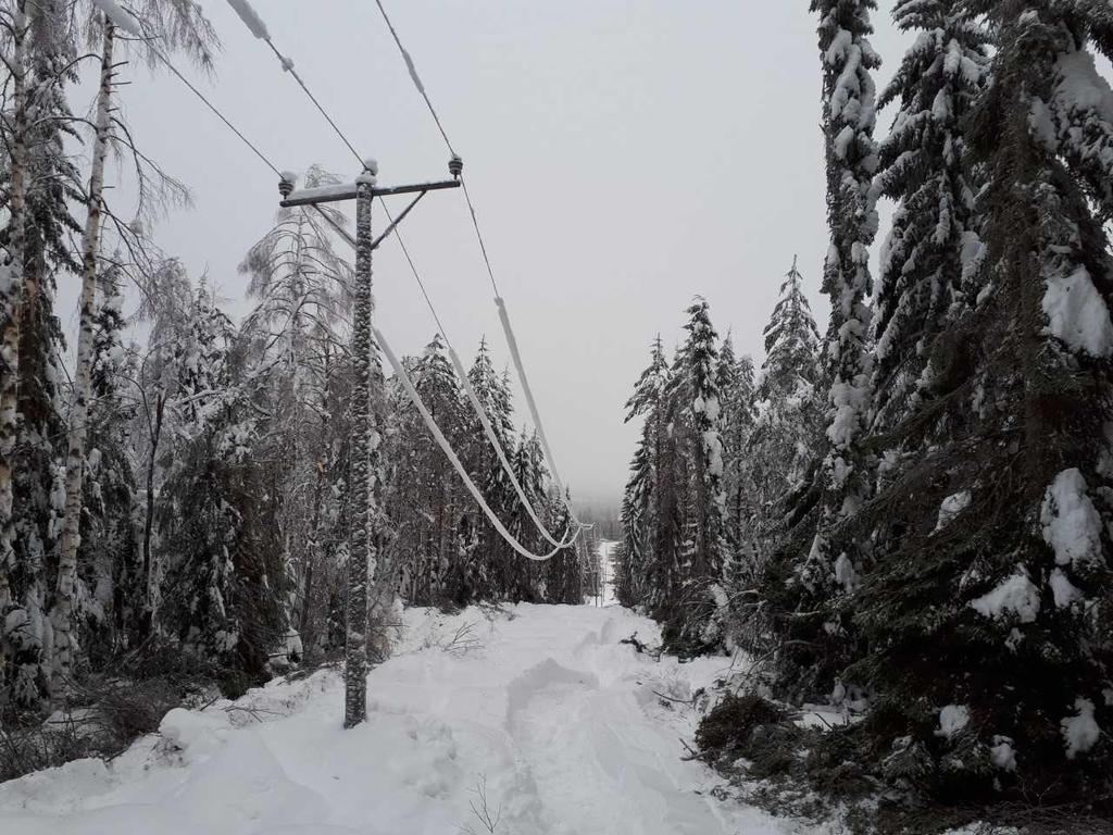 30 Kuva 3.4 Tykkylumen maata kohti painamia ilmajohtoja. Kuvassa näkyy myös vierimetsän puista karsittuja oksia (Tuovinen). Kaistalehakkuun tapauksessa ilmajohdosta saadaan puuvarma 15 30 vuodeksi.