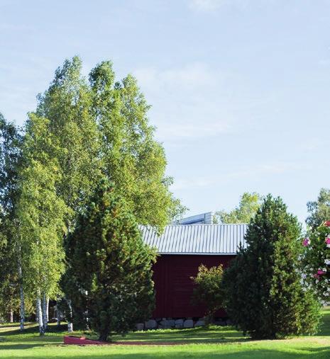 Asiakas kuuluu säännöllisen kotihoidon piiriin kun palveluja annetaan vähintään kerran viikossa. Tilapäinen kotihoito on harvemmin kuin kerran viikossa annettava palvelu.