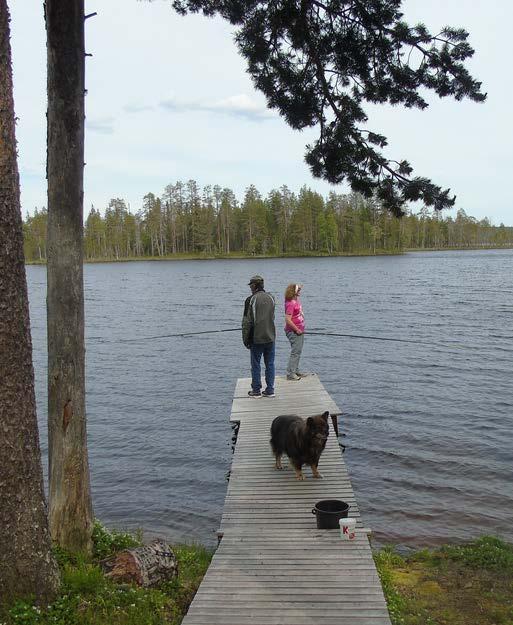 Järjestetty tapahtumia, retkiä ja leirejä mm.