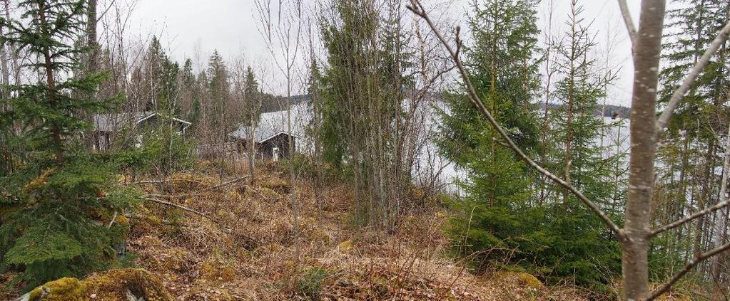 INVENTOINTI RANTA-ASEMAKAAVA-ALUEELLA 3.7.