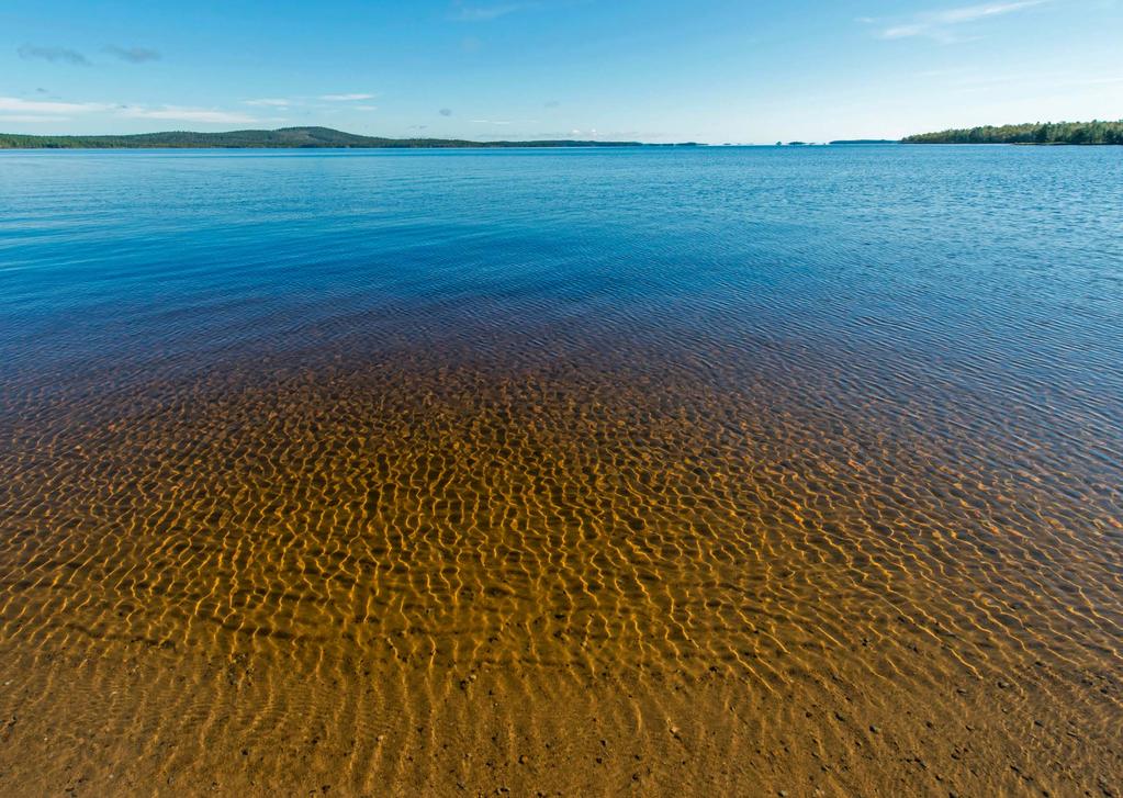 JOHDANTO Tämä kirja opastaa monipuoliseen luontokuvaukseen ytimekkäin ja helpoin ohjein. Tutustu erilaisiin eläimiin ja kasveihin, ja mistä ja milloin niitä voi löytää.