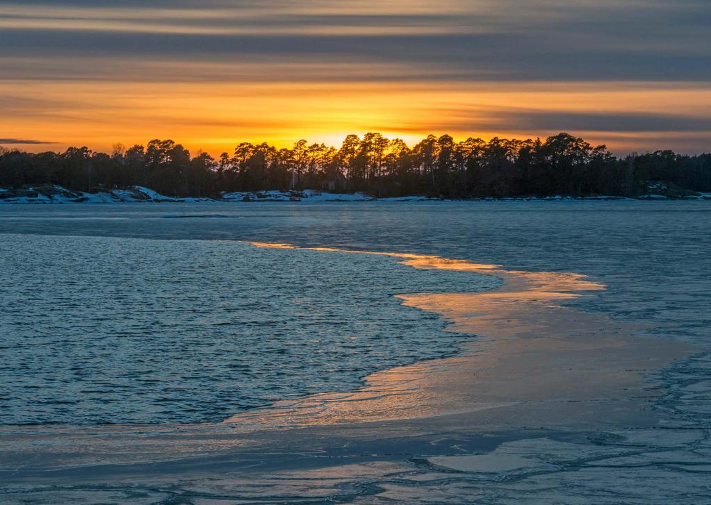 Eläimiä kuvatessasi ffliiku rauhallisesti, älä tee äkkinäisiä liikkeitä. ffjos kuvaat käsivaralta, nosta kamera hyvin hitaasti kuvausasentoon. ffjos kuvaat jalustalta, liikuta jalustaa hyvin hitaasti.