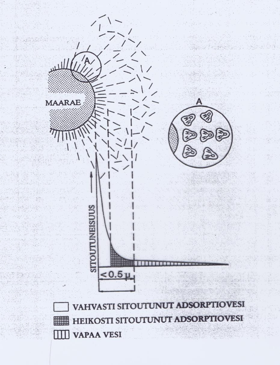 Vesitalous Maarakeitten koko vaihtelee Savirae 0,0002 mm Hietarae 0,02 mm Hiekkarae 2,0 mm Saven vesipitoisuus jopa yli 900