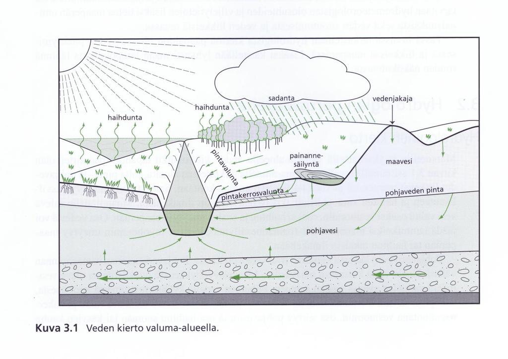 Vesitalous Hydrologinen kierto Kasvit Haihtuminen Maaperään