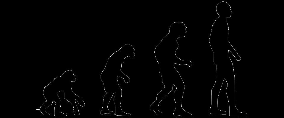 Miksi siis säätiöt ovat olemassa ja ovat niin tärkeitä? Suuri osa evoluutiosta perustuu virheille ja vahingoille.