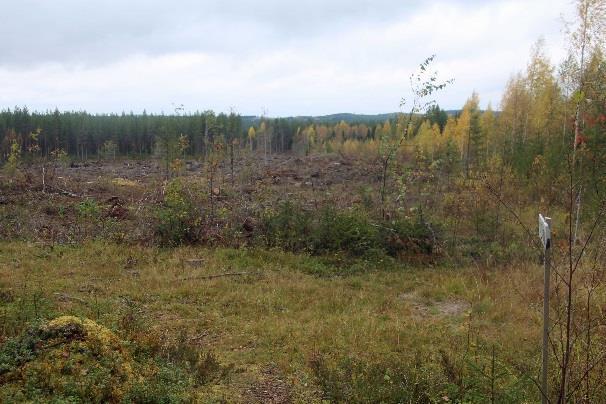 Matkalla ohitetaan lukuisia merkitsemättömiä sivuun