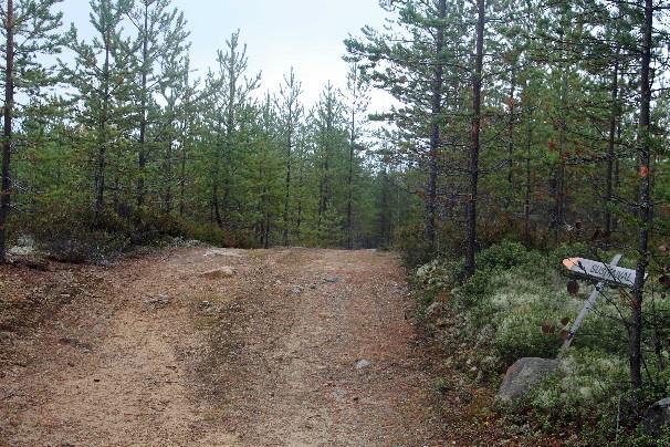 Mäen alla polku kääntyy uralta selvänä, mutta ilman