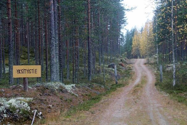 Tieosuus on pitkä, mutta pinta hyvä ja Petrokangas komea.