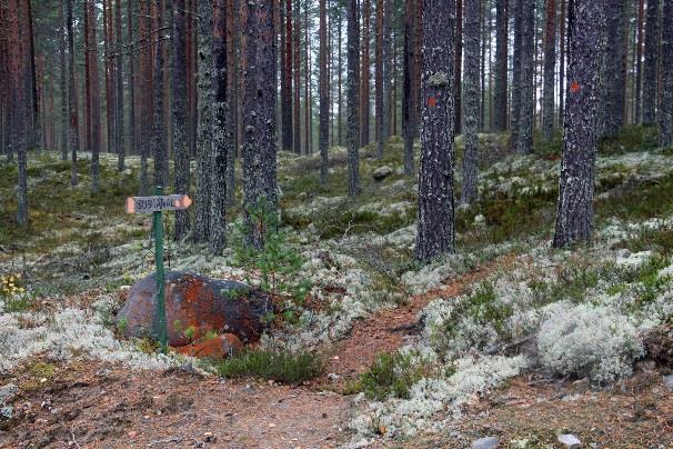 Yksityistien kyltin jälkeen reitti poikkeaa viittojen