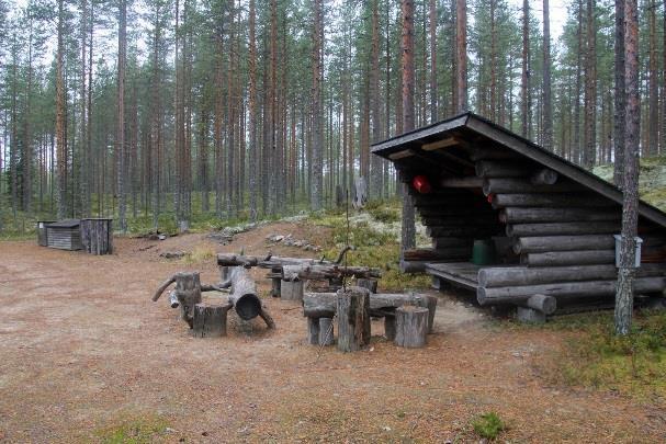 Polun vieressä ja myös tien toisella puolen on lähteet.