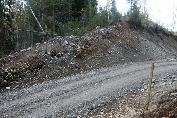 Lyhyt metsäautotie ja moottorikelkkauran pohja Leppäsuolle on