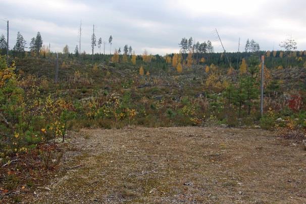 uusi tolppa ohjaa alamäkeen vasemmalle