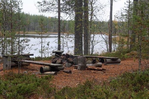 poikkeaa vasemmalle, Susitaival jatkaa ilman