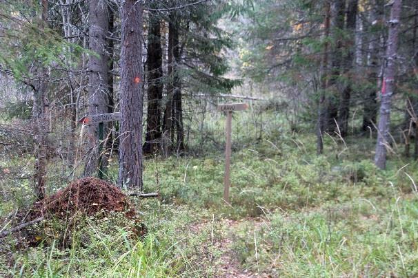 sijainnin aiheuttaminen haittoineen: laavu,