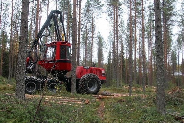 Ylitetään ja ohitetaan harvennushakkuu, jossa