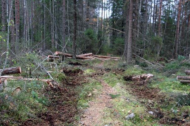 ajanut polun suuntaisesti, on jättänyt sen pyörien