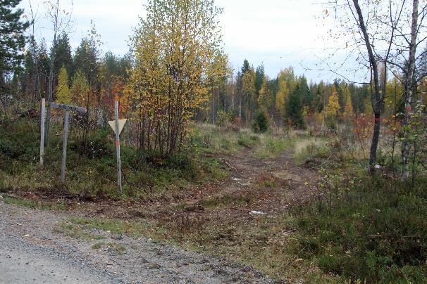 Ohitetaan vasemmalle vievä metsäautotie, merkit puissa